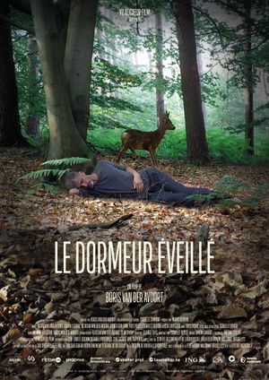 The Wakeful Sleeper's poster
