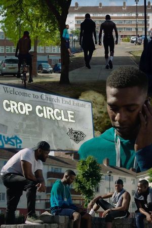 Crop Circle's poster