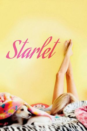 Starlet's poster