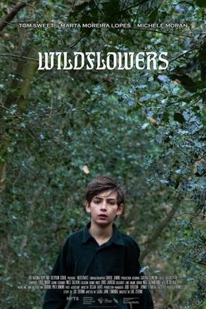 Wildflowers's poster