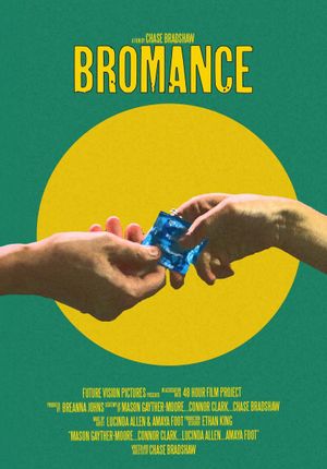 Bromance's poster