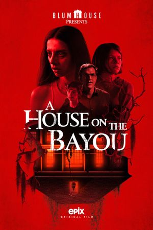 A House on the Bayou's poster
