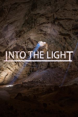 Into The Light's poster