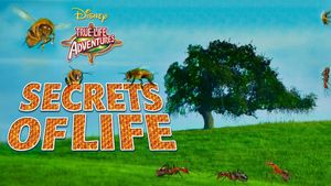 Secrets of Life's poster
