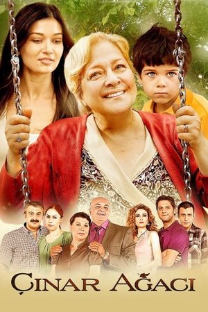 Çinar Agaci's poster