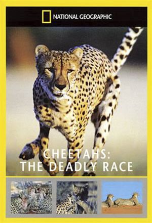 Cheetahs: The Deadly Race's poster