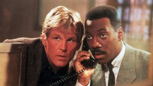 Another 48 Hrs.'s poster