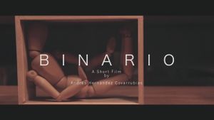 Binary's poster