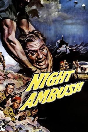 Night Ambush's poster