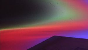 Paradise Loop's poster