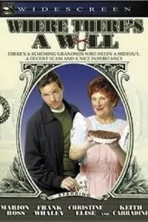 Where There's a Will's poster