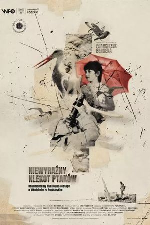 The Faint Clatter of Birds's poster