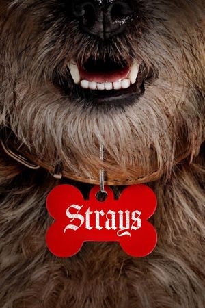 Strays's poster