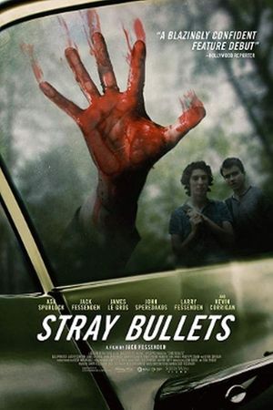 Stray Bullets's poster