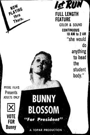 Bunny Blossom's poster