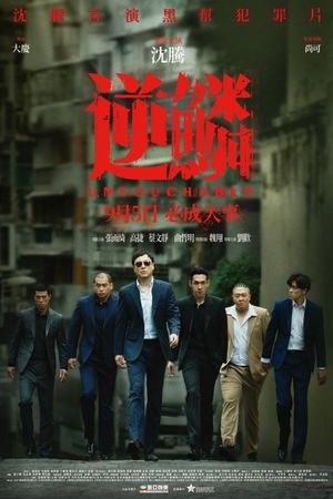 Untouchable's poster