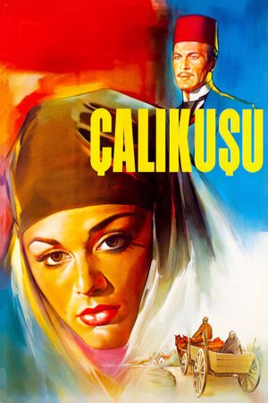 Çalikusu's poster