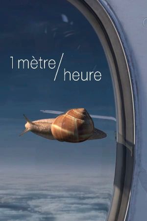 1 mètre/heure's poster image