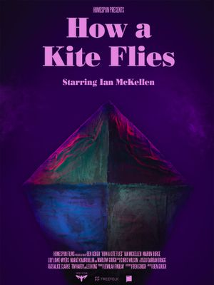 How a Kite Flies's poster