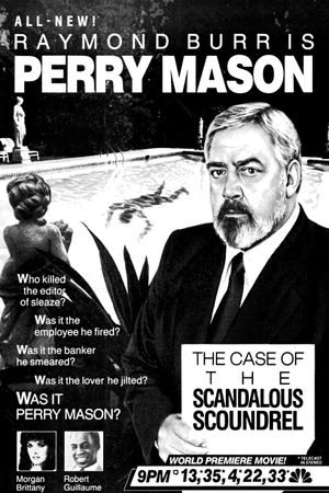 Perry Mason: The Case of the Scandalous Scoundrel's poster