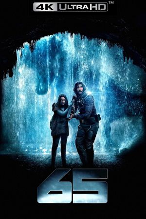 65's poster