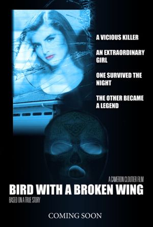 Bird with a broken wing's poster