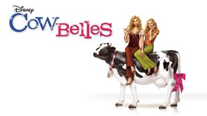 Cow Belles's poster