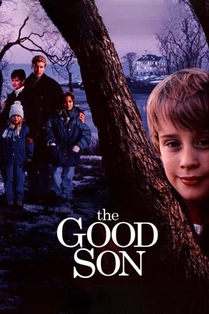 The Good Son's poster