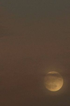 Two Moons's poster