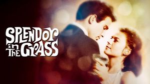 Splendor in the Grass's poster