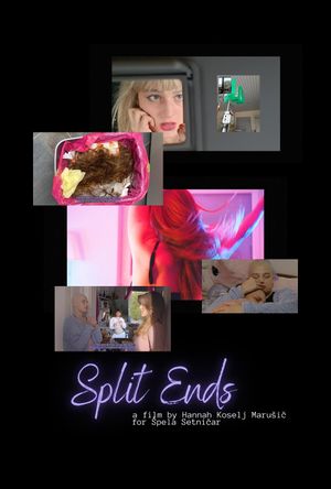 Split Ends's poster