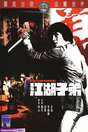 Jiang hu zi di's poster