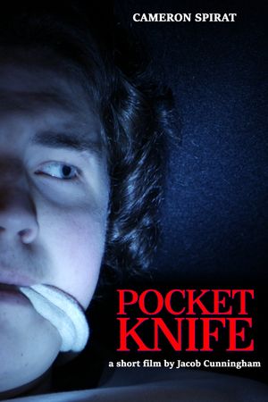 Pocket Knife's poster image