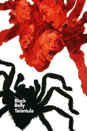 Black Belly of the Tarantula's poster