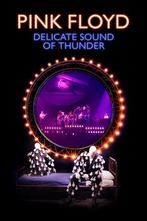 Pink Floyd - Delicate Sound of Thunder's poster