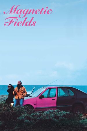 Magnetic Fields's poster