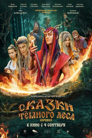 Skazki tyomnogo lesa. Vorozheya's poster