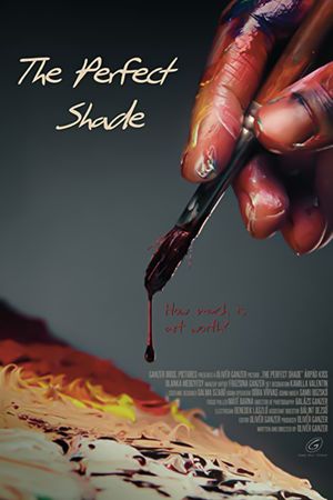 The Perfect Shade's poster