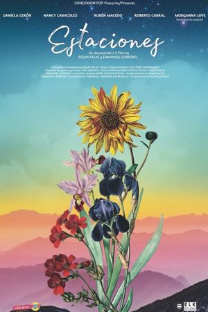 Estaciones's poster