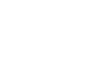 Avalanche's poster