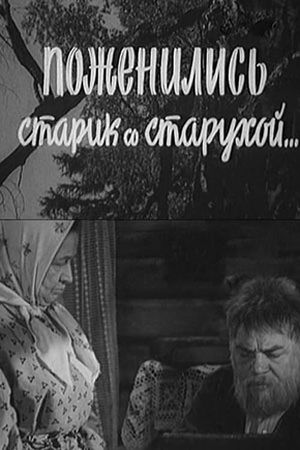 Поженились старик со старухой's poster