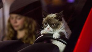 Grumpy Cat's Worst Christmas Ever's poster