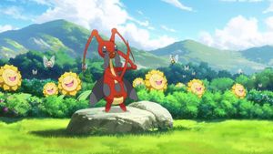 Pokémon Ecology Diary's poster