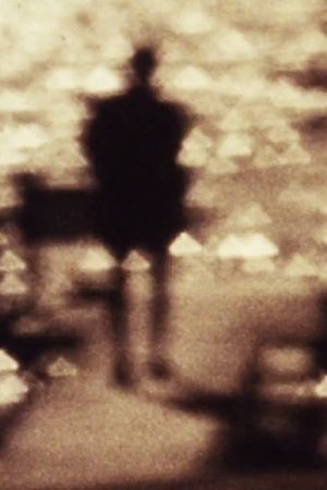 Elemental Vision or a film for the rest of my life's poster