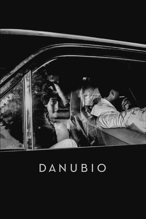 Danube's poster
