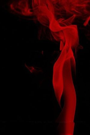 The Twilight Saga: Breaking Dawn - Part 1's poster