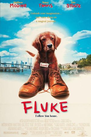 Fluke's poster