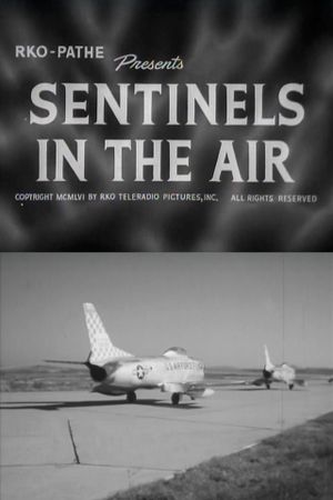 Sentinels in the Air's poster