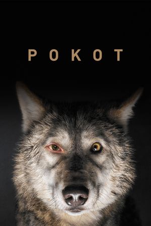 Spoor's poster