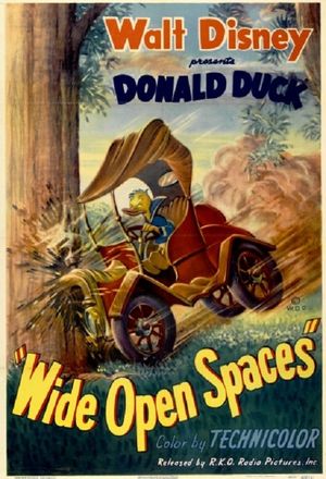 Wide Open Spaces's poster